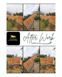 Lion Paving & Landscaping (1)