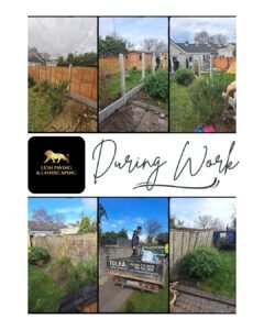 Lion Paving & Landscaping (1)