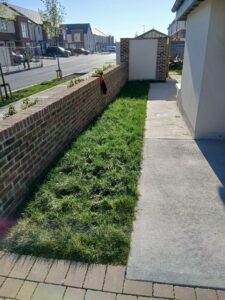 Natural paving , new instant lawn (1)