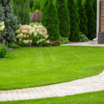 Landscaping Services Dublin What Landscaping Adds the Most Value
