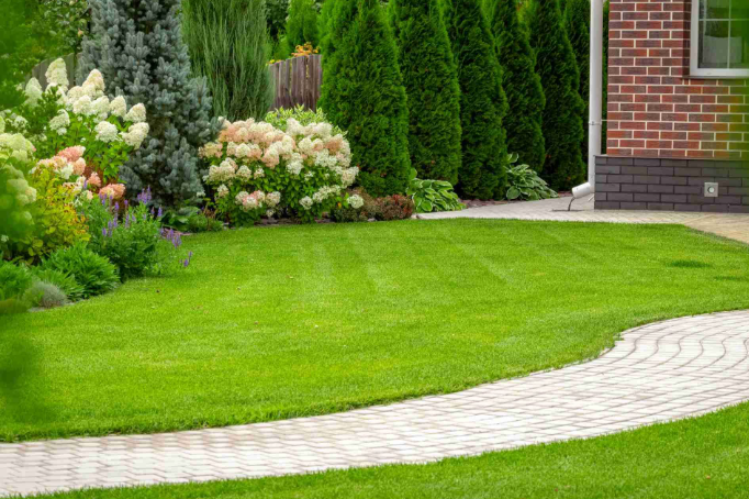Landscaping Services Dublin What Landscaping Adds the Most Value