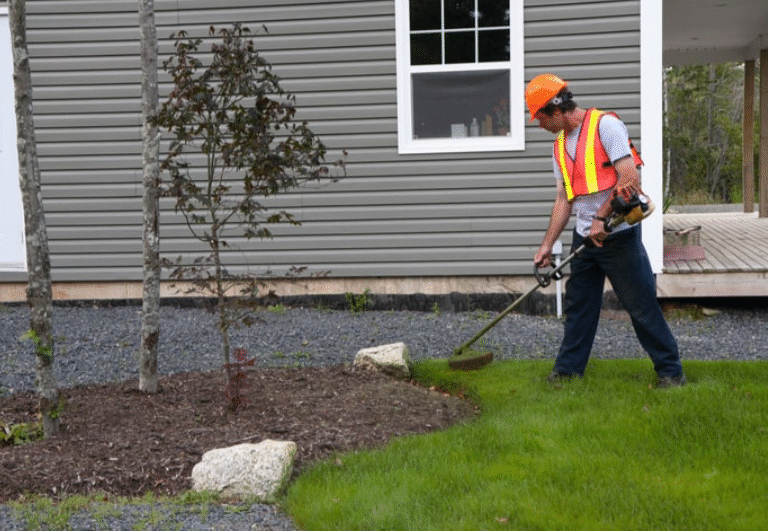 Why Should You Hire Professional Landscapers in Dublin for Your Garden